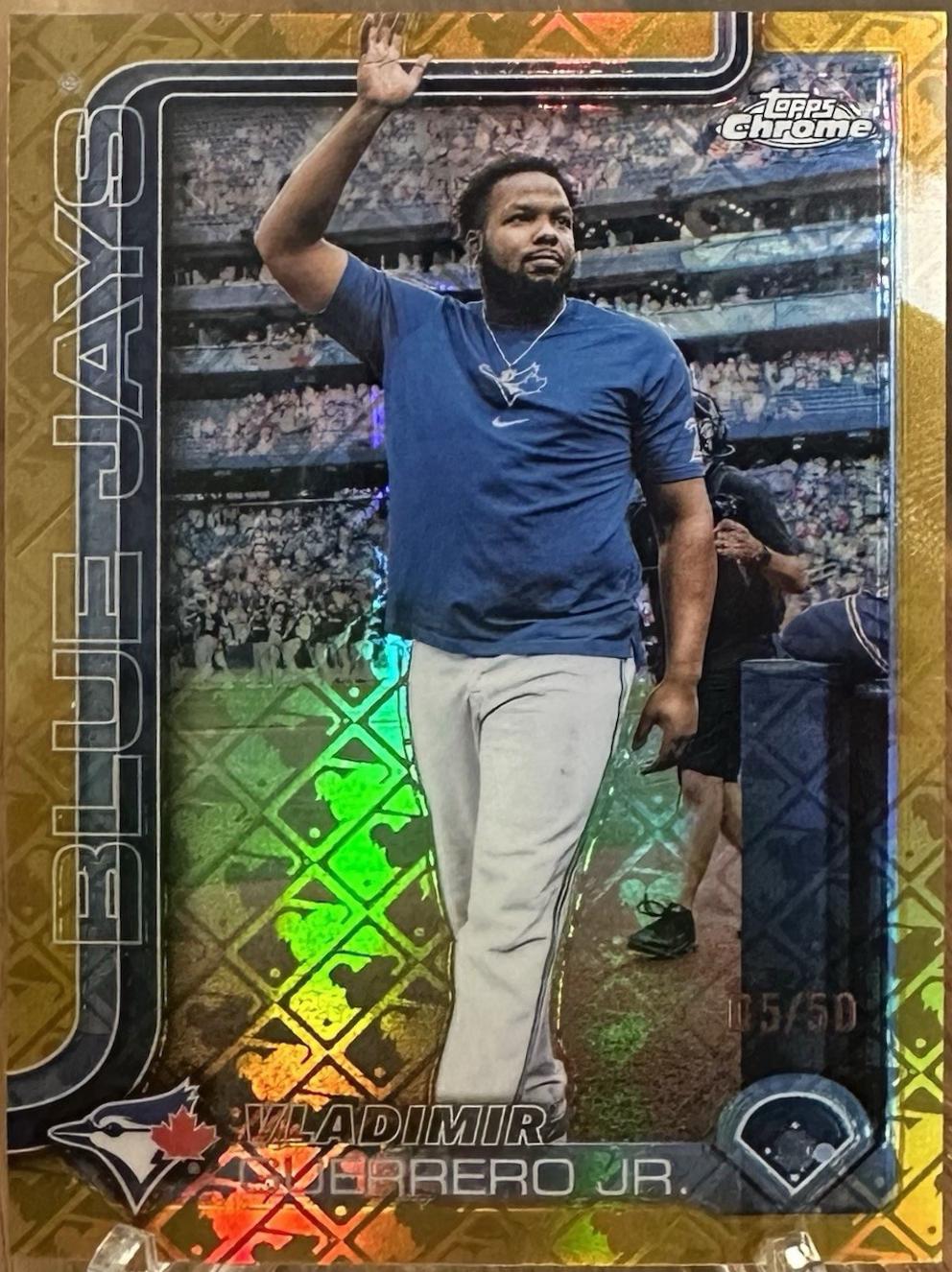 Vladimir Guerrero Jr. [Image Variation] #259