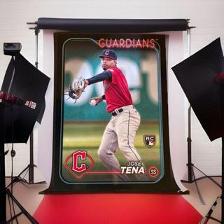 Jose Tena