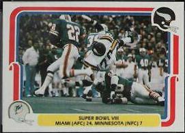 Super Bowl VIII