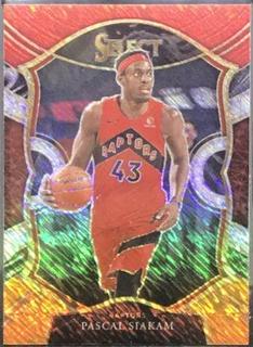 Pascal Siakam