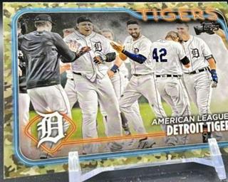 Detroit Tigers