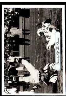Don Maynard #300 1992 All World Football