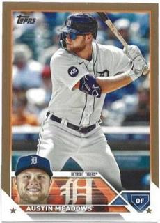 Austin Meadows