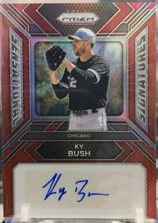 Ky Bush