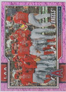 Team Card