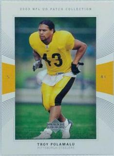Troy Polamalu