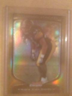 Troy Polamalu
