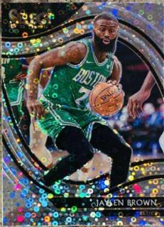 Jaylen Brown