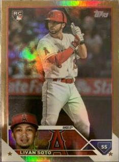 Livan Soto