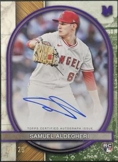 Samuel Aldegheri