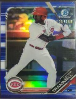 Taylor Trammell