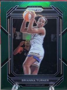 Brianna Turner