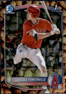 Cole Fontenelle