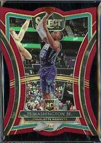 PJ Washington Jr.