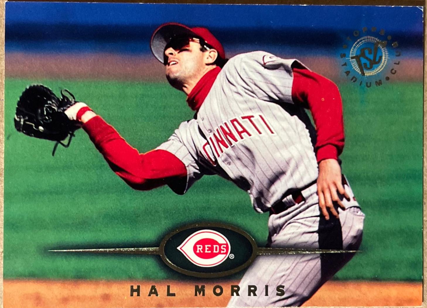 Hal Morris #231 Baseball Cards 1995 Stadium Club