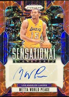 Metta World Peace