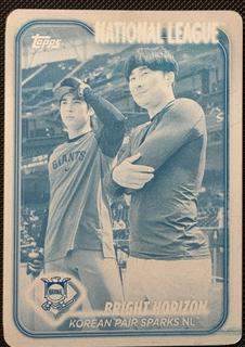 Ha-Seong Kim & Jung Hoo Lee