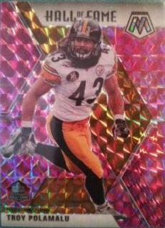 Troy Polamalu