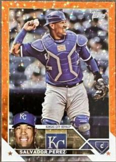 Salvador Perez
