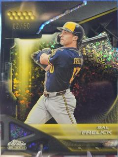 Sal Frelick