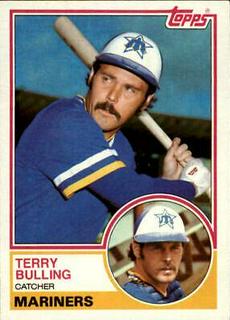 Terry Bulling