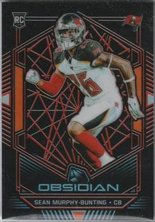 Sean Murphy Bunting