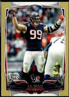 J.J. Watt