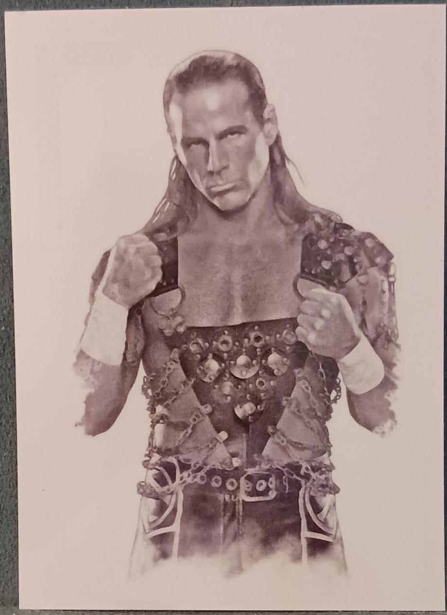 Shawn Michaels Tattoo Wrestling Cards 2008 Topps WWE Ultimate Rivals
