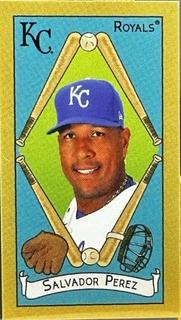 Salvador Perez