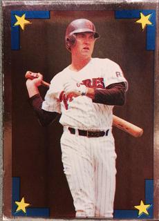 Graig Nettles