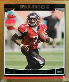 Michael Vick