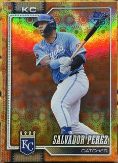 Salvador Perez