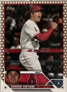 Shohei Ohtani