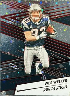 Wes Welker