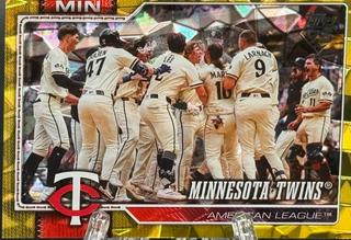 Team Card