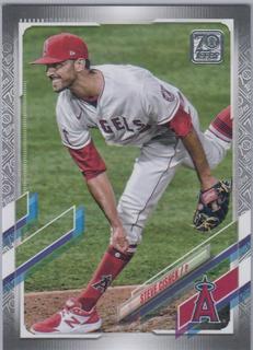 Steve Cishek
