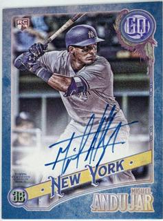 Miguel Andujar