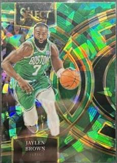 Jaylen Brown