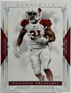 David Johnson