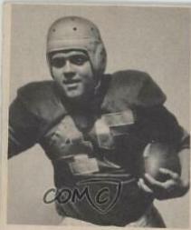 Mike Holovak