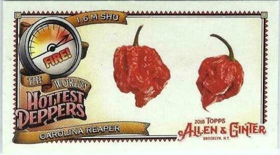 Carolina Reaper #WHP-2