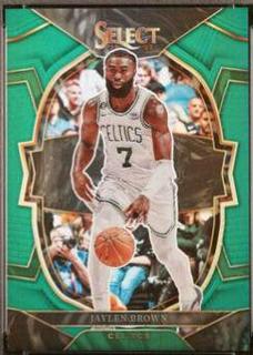 Jaylen Brown