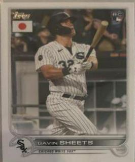 Gavin Sheets