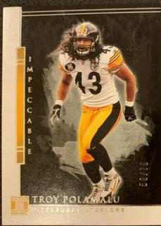 Troy Polamalu