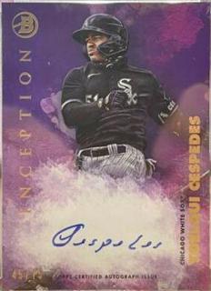Yoelqui Cespedes
