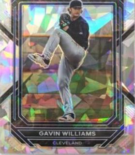 Gavin Williams