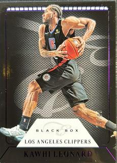 Kawhi Leonard