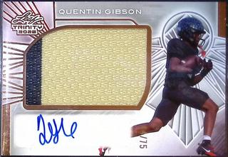Quentin Gibson