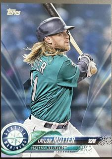 Taylor Motter