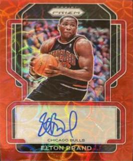 Elton Brand